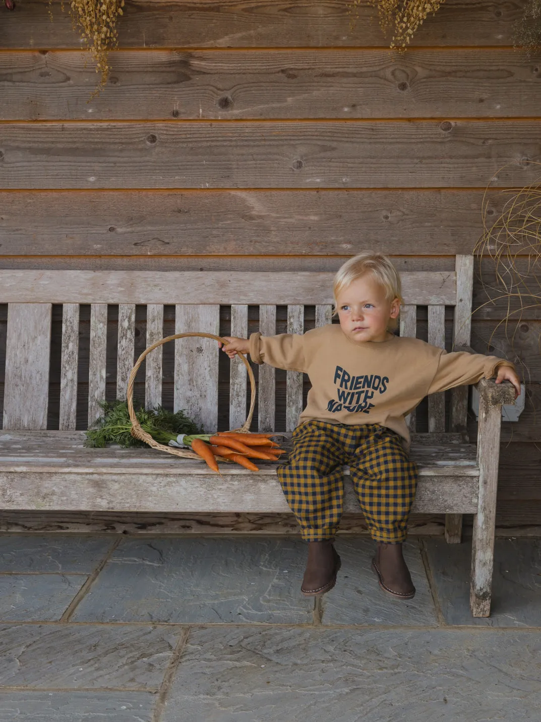 Blueberry Gingham Carrot Pants